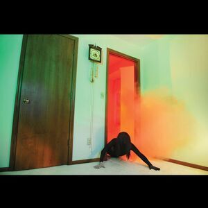 Adult. - Becoming Undone  LP LP